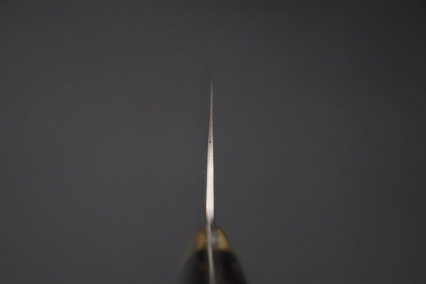 Takeshi Saji VG-10W Rainbow Damascus Series TS-8 Gyuto 240mm (9.4 Inch, Black and Copper Texture Dupont Corian Handle)