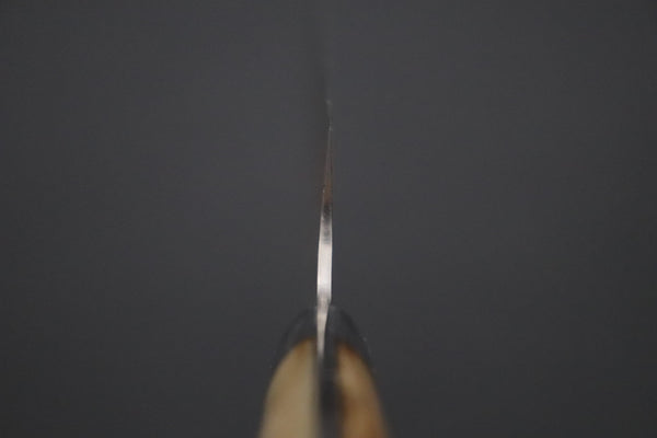 Takeshi Saji VG-10W Multi-Colored Golden-Rainbow Damascus Series TS-10 Sujihiki 270mm (10.6 Inch, Smooth Bone Handle)