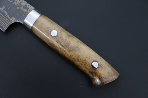 Takeshi Saji VG-10W Multi-Colored Golden-Rainbow Damascus Series TS-10 Sujihiki 270mm (10.6 Inch, Smooth Bone Handle)