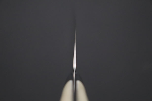 Takeshi Saji SRS-13 Hammer Forged, Custom Handmade Handle Series TS-13 Gyuto 240mm (9.4 Inch, Stag Bone Handle)