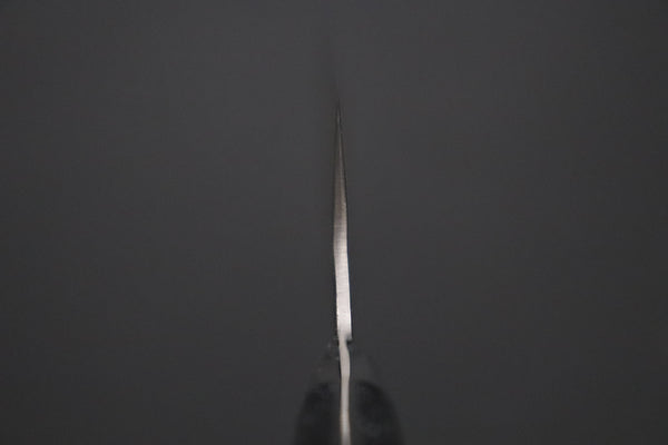 “Ocean Sunshine”: Takeshi Saji VG-10 Hammered Damascus Series TS-16 Gyuto 240mm (9.4 Inch, Black Dupont Corian Handle)