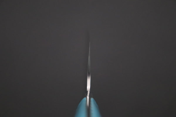 Takeshi Saji SUMMIT ― Limited Edition Custom Series SMT-1237 SRS-13 Hammer Forged Nakiri 165mm (6.4 Inch)