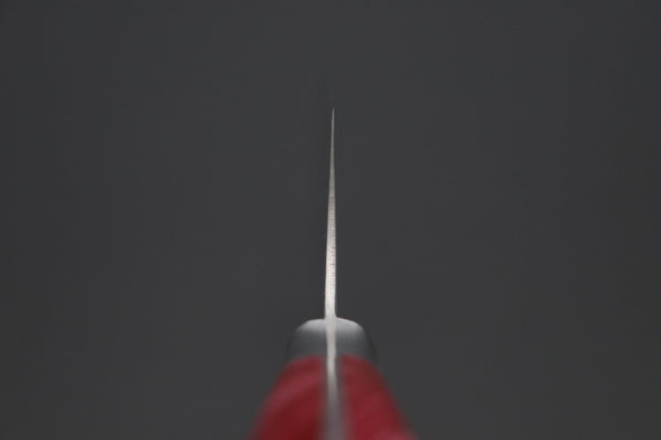 Hattori Gyuto Hattori Forums Custom Limited Edition, FH "NOAH" Series FHN-6SPSO Gyuto 210mm (8.2 Inch, Spiny Oyster Gem composite Stone Handle)