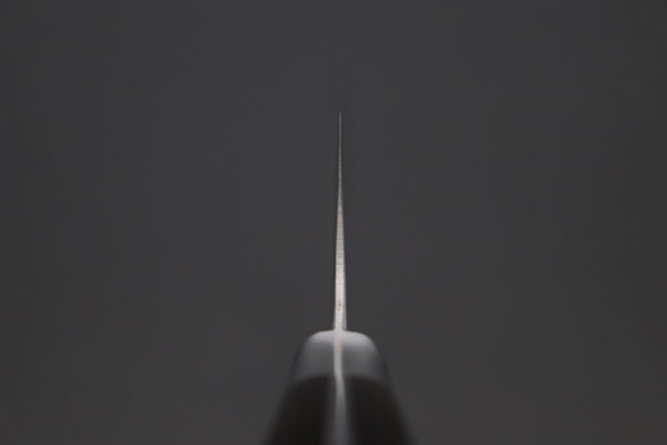 Hattori Gyuto Hattori Forums FH "NOAH" Series Gyuto (210mm to 270mm, 3 sizes, African Blackwood Handle)