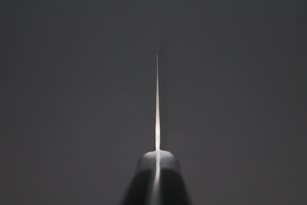 Hattori Gyuto Hattori Forums FH "NOAH" Series Gyuto (210mm to 270mm, 3 sizes, Black Linen Micarta Handle)