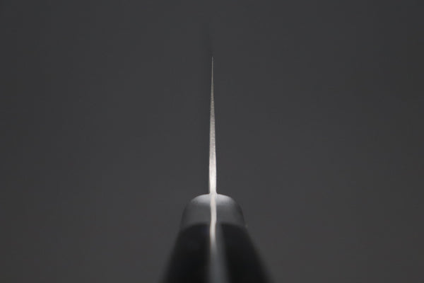 Hattori Gyuto Hattori Forums FH "NOAH" Series Gyuto (210mm to 270mm, 3 sizes, "Black Space" Corian® Handle)