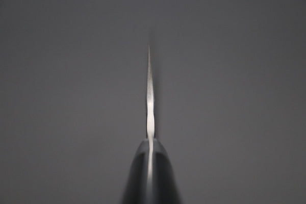 Takeshi Saji Gyuto Takeshi Saji Aogami Super Custom Series Gyuto (150mm to 270mm, 5 sizes, Linen Micarta Handle)
