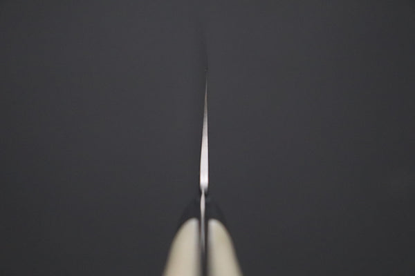 Takeshi Saji Gyuto TS-13 Gyuto 240mm (9.4 inch) Takeshi Saji SRS-13 Hammer Forged, Custom Handmade Handle Series TS-13 Gyuto 240mm (9.4 Inch, Stag Bone Handle)