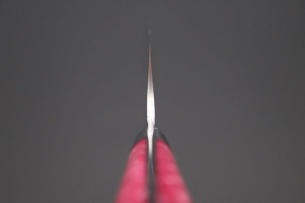 Takeshi Saji Gyuto Takeshi Saji SUMMIT ― Limited Edition Custom Series SMT-1035 STRIX SAN-MAI Custom Hammered Gyuto 210mm (8.2 Inch)