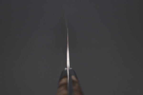 Takeshi Saji Gyuto Takeshi Saji SUMMIT ― Limited Edition Custom Series SMT-1089 VG-10W Multi-Colored Golden-Rainbow Damascus Gyuto 210mm (8.2 Inch)