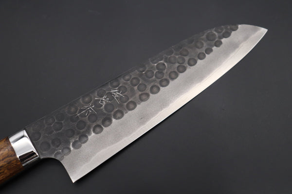 Takeshi Saji Santoku ASBI-3 Santoku 180mm Takeshi Saji Aogami Super Custom Series Santoku 180mm (7 inch, Ironwood Handle)