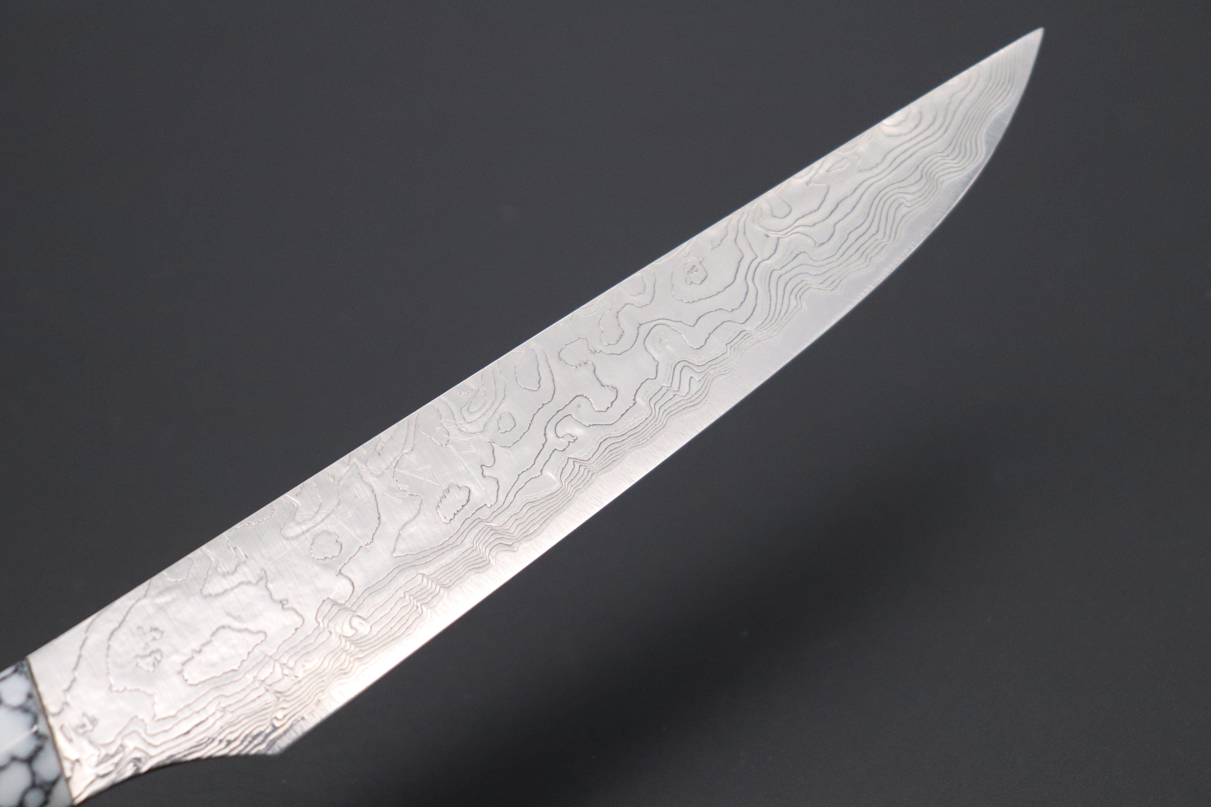 https://japanesechefsknife.com/cdn/shop/files/takeshi-saji-steak-knife-takeshi-saji-r-2-diamond-damascus-steak-knife-white-turquoise-gem-composite-stone-handle-ts-2-43290814546203.jpg?v=1698118415