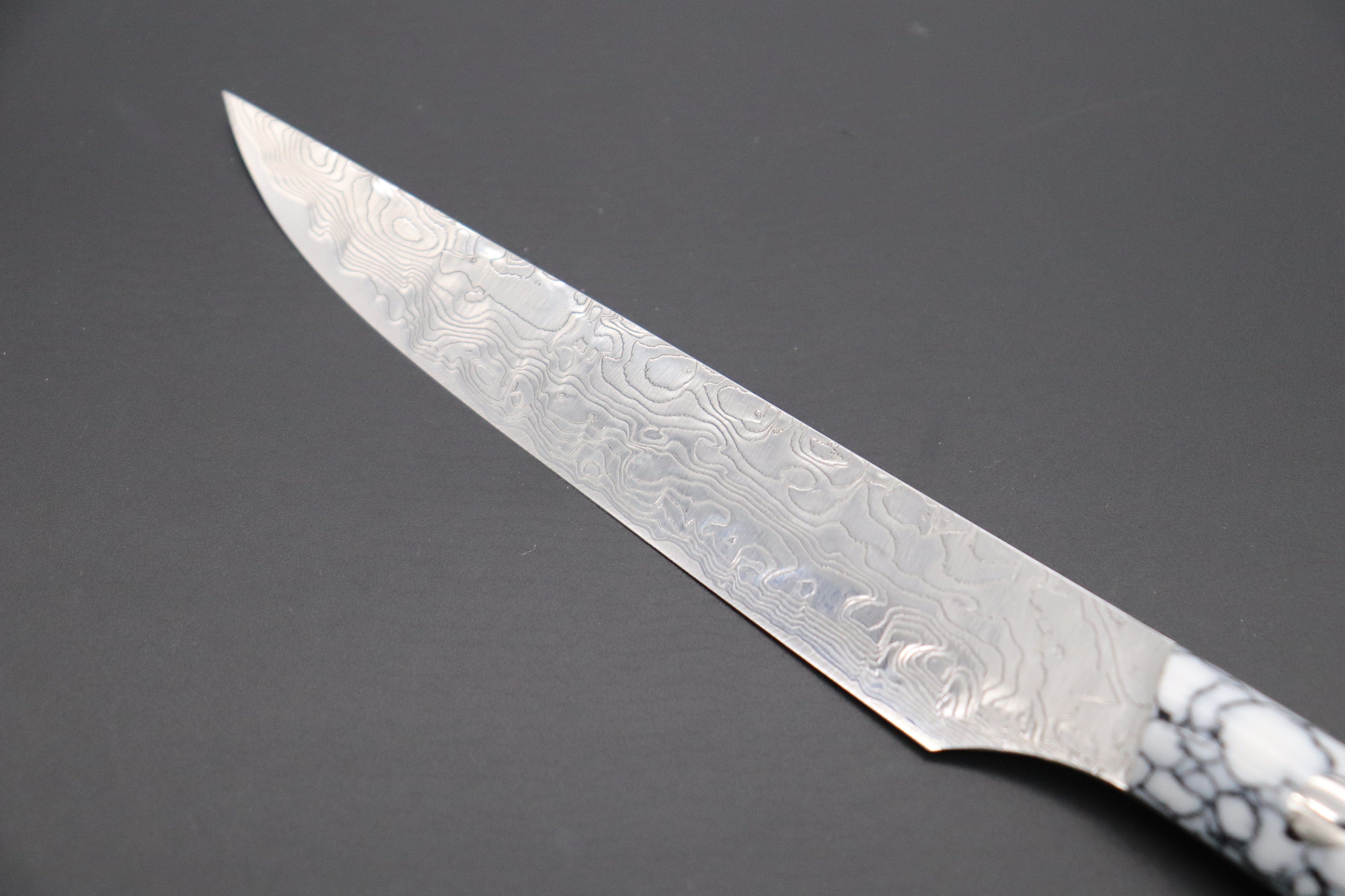 https://japanesechefsknife.com/cdn/shop/files/takeshi-saji-steak-knife-takeshi-saji-r-2-diamond-damascus-steak-knife-white-turquoise-gem-composite-stone-handle-ts-2-43290814677275.jpg?v=1698118418