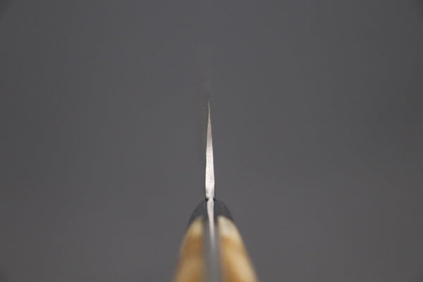 Takeshi Saji Sujihiki Takeshi Saji SUMMIT ― Limited Edition Custom Series Wild Summer Edition SMT-1020 R-2 Custom Damascus Katana Slicer 240mm (9.4 Inch, Smooth Stag Bone Handle)