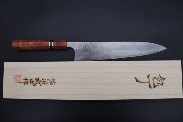 Takeshi Saji Wa Gyuto Takeshi Saji SUMMIT ― Limited Edition Custom Series VG-10 Custom Damascus Wa Gyuto 240mm (9.4 Inch, STCL-300)