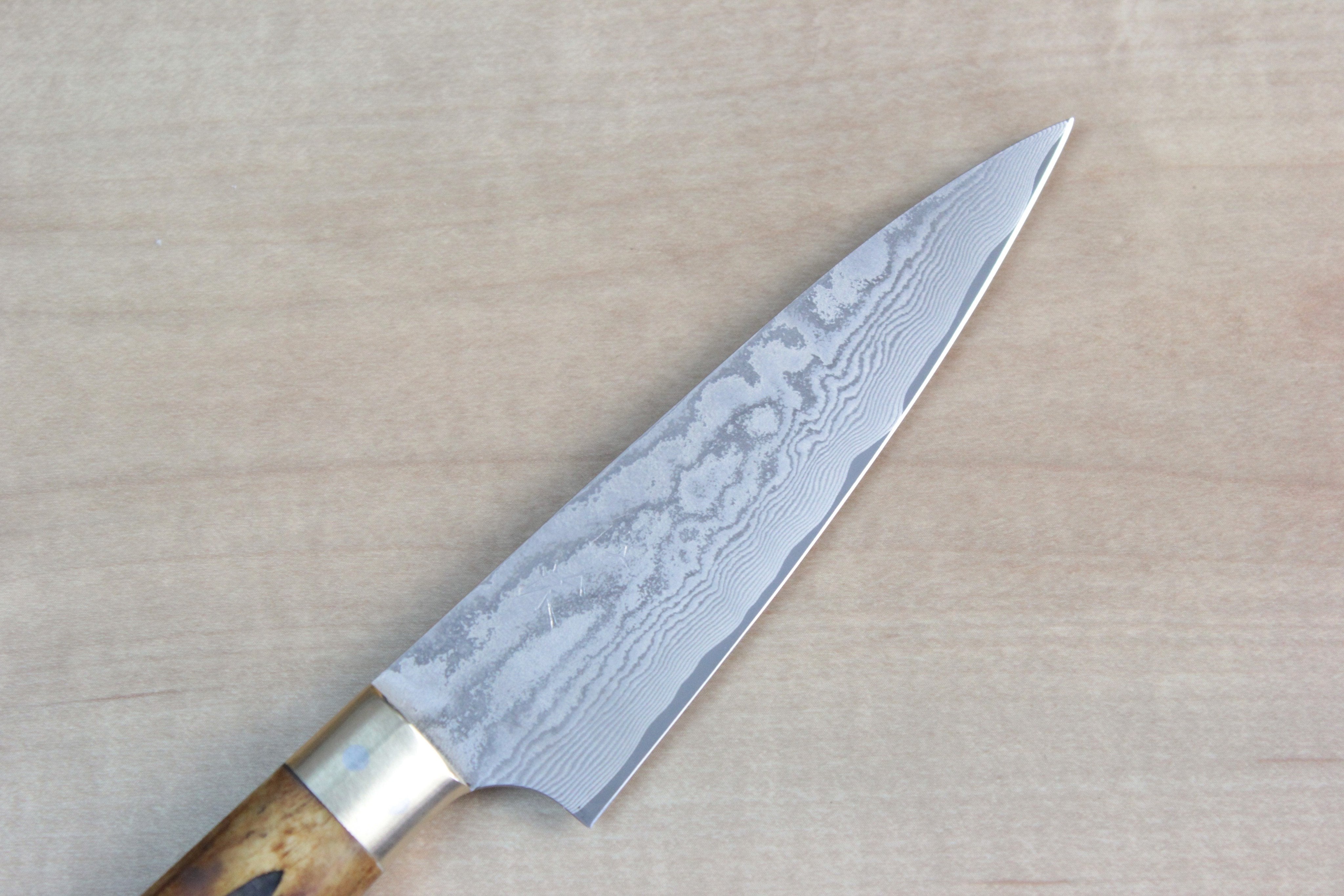 Takeshi Saji VG-10 Custom Damascus Wild Series Gyuto Knives